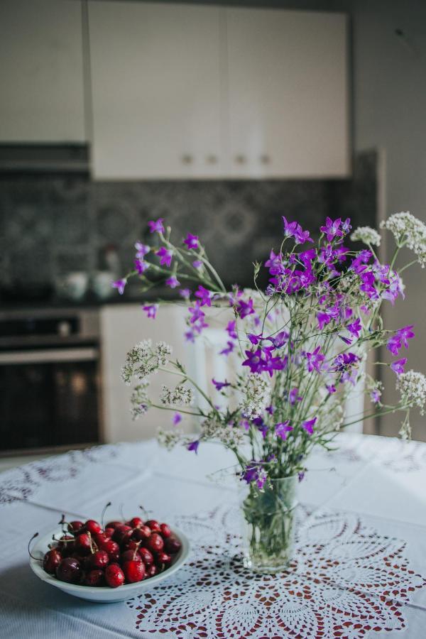 Villa Burtnieka Ezera Maja à Valmiera Extérieur photo