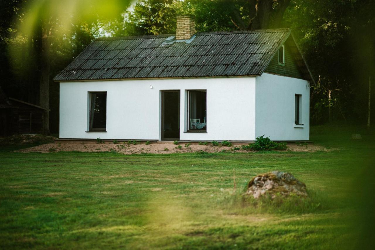 Villa Burtnieka Ezera Maja à Valmiera Extérieur photo